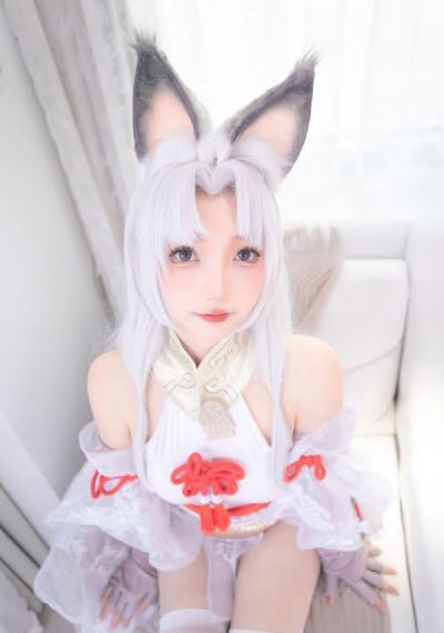 狂野大陆