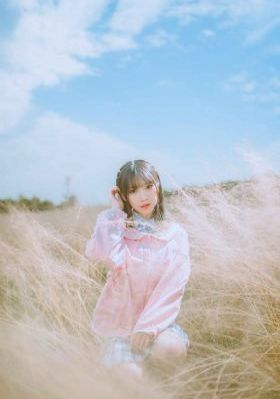 以爱为营电视剧免费观看